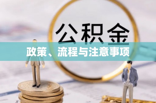 永春政策、流程与注意事项