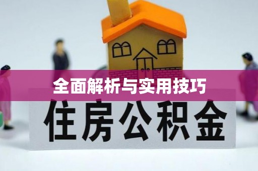 永春全面解析与实用技巧